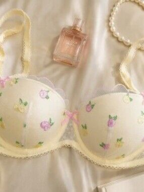 VS Victoria's Secret Pink Wink Padded Underwire Balconette Fruit Pushup Bra 32B